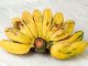 Jenis Pisang Yang Bagus Untuk Diet