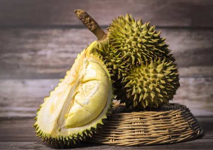 Jarak Tanam Durian Musang King