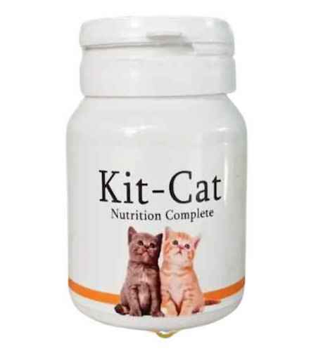 8 Vitamin Penambah Nafsu Makan dan Penggemuk Kucing