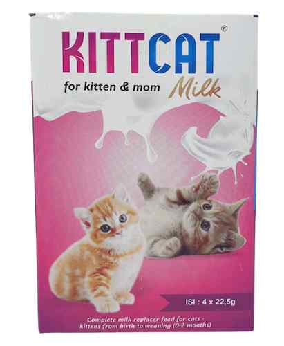 Susu SGM Untuk Bayi Kucing di Indomaret dan Alfamart