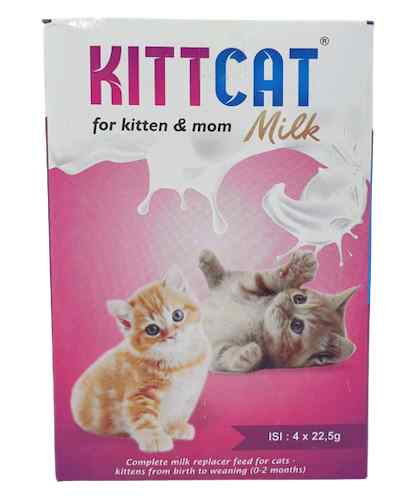 10 Daftar Makanan Kucing Yang Halal Tanpa B2
