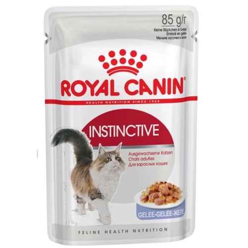 7 Makanan Kucing Yang Bagus Untuk Pencernaan
