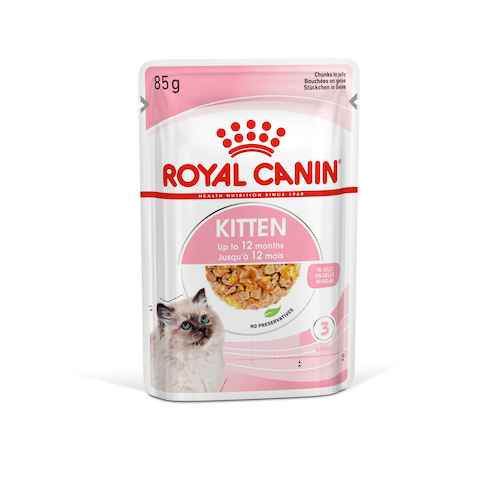 10 Rekomendasi Makanan Kucing Untuk Usia 0-6 Bulan