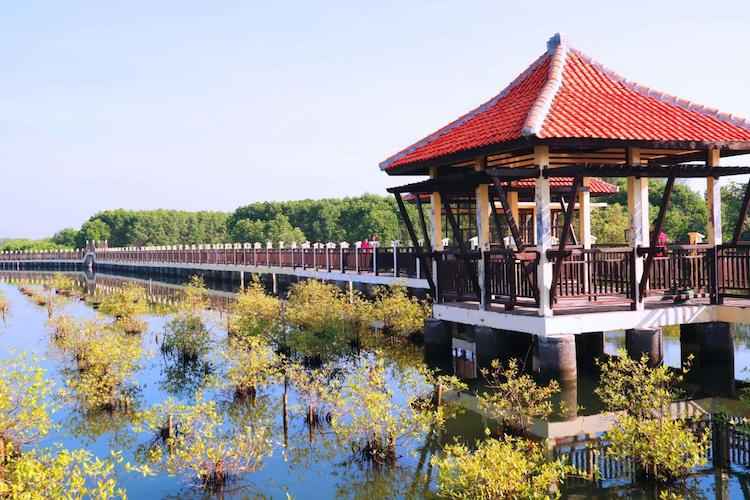 10 Tempat Wisata di Pekalongan Untuk Anak dan Keluarga yang Murah dan Lagi Hits