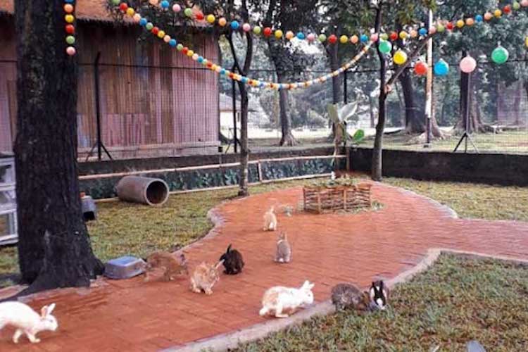 10 Tempat Wisata di Depok Untuk Anak dan Keluarga yang Murah dan Lagi Hits