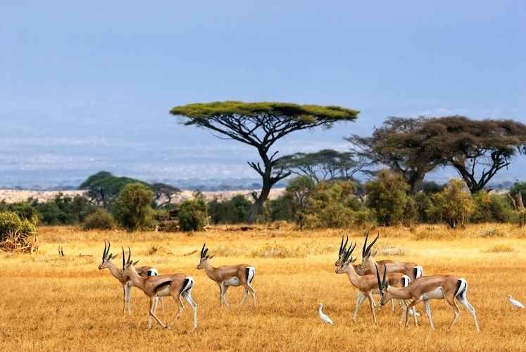 10 Tempat Wisata di Situbondo Untuk Anak dan Keluarga yang Murah dan Lagi Hits
