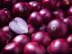 7 Manfaat Bawang Merah Dicampur Minyak Telon Untuk Kesehatan