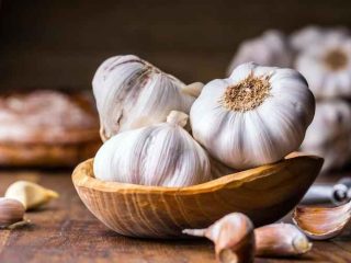 5 Manfaat Bawang Putih Untuk Tanaman Cabe
