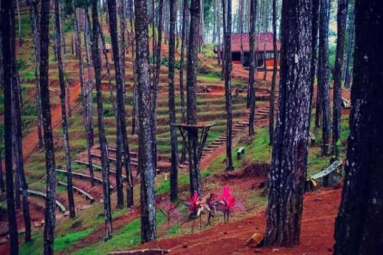 10 Tempat Wisata di Purworejo Untuk Anak dan Keluarga yang Murah dan