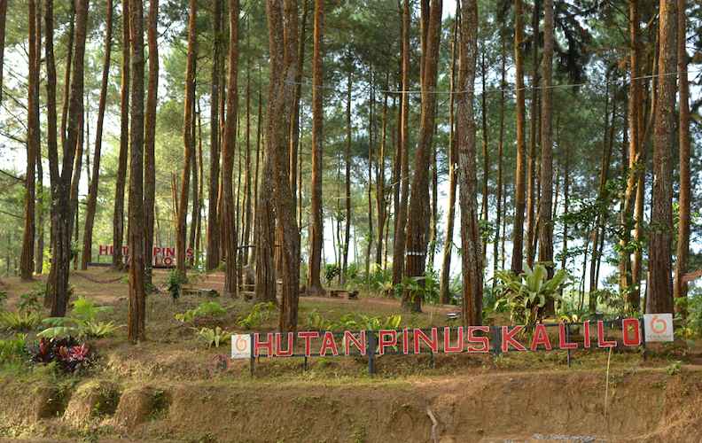 10 Tempat Wisata di Purworejo Untuk Anak dan Keluarga yang Murah dan Lagi Hits