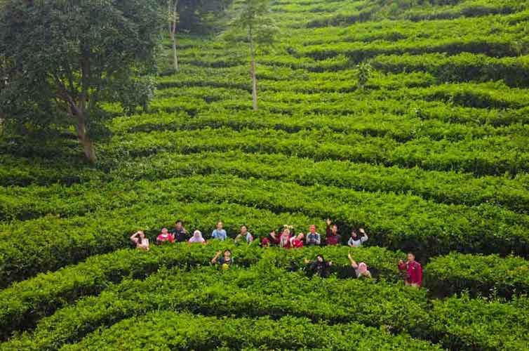 10 Tempat Wisata di Kendal Untuk Anak dan Keluarga yang Murah dan Lagi Hits