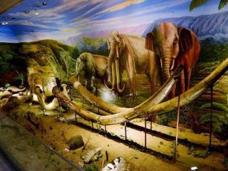 10 Tempat Wisata di Sragen Untuk Anak dan Keluarga yang Murah dan Lagi Hits