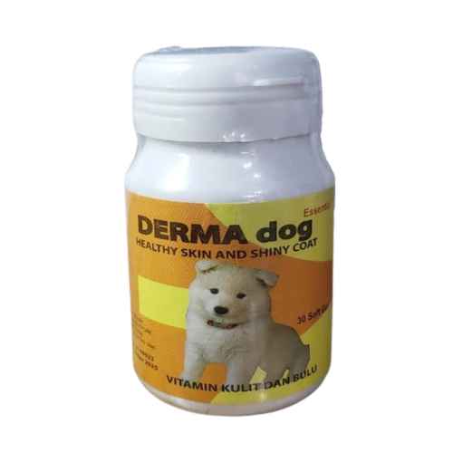 Vitamin Agar Bulu Kucing Tidak Rontok