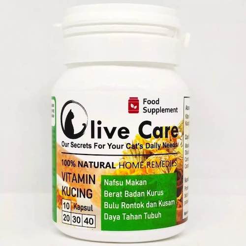Vitamin Agar Bulu Kucing Tidak Rontok