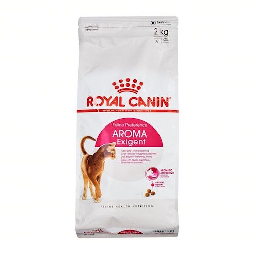 Rekomendasi Makanan Untuk Kucing Pemilih
