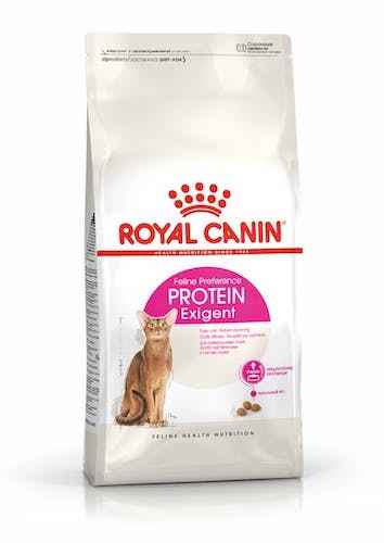  Makanan Penambah Nafsu Makan Kucing