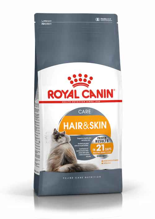 Vitamin Agar Bulu Kucing Tidak Rontok