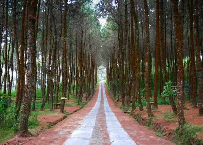  Tempat Wisata di Magelang Untuk Anak dan Keluarga yang Murah dan Lagi Hits