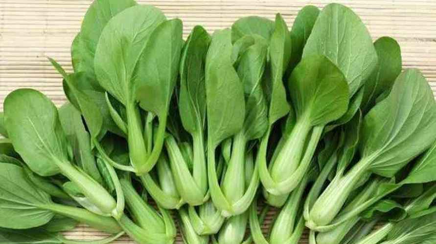 10 Sayur dan Buah yang Mengandung Protein Tinggi