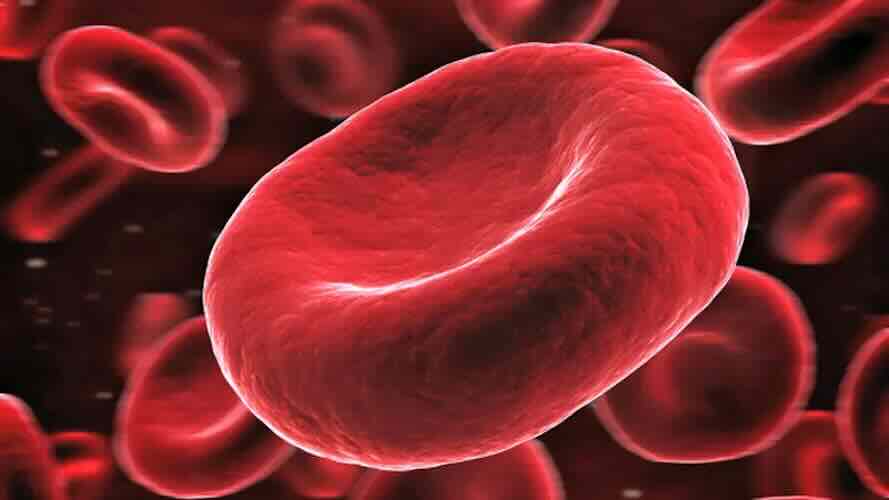 Cara Membersihkan Darah Kotor Penyebab Gatal