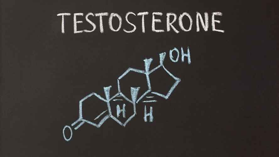 Makanan Untuk Meningkatkan Hormon Testosteron
