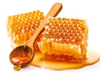 4 Perbedaan Sarang Madu Asli dan Palsu