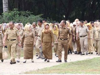 7 Perbedaan CPNS dan PPPK (P3K)